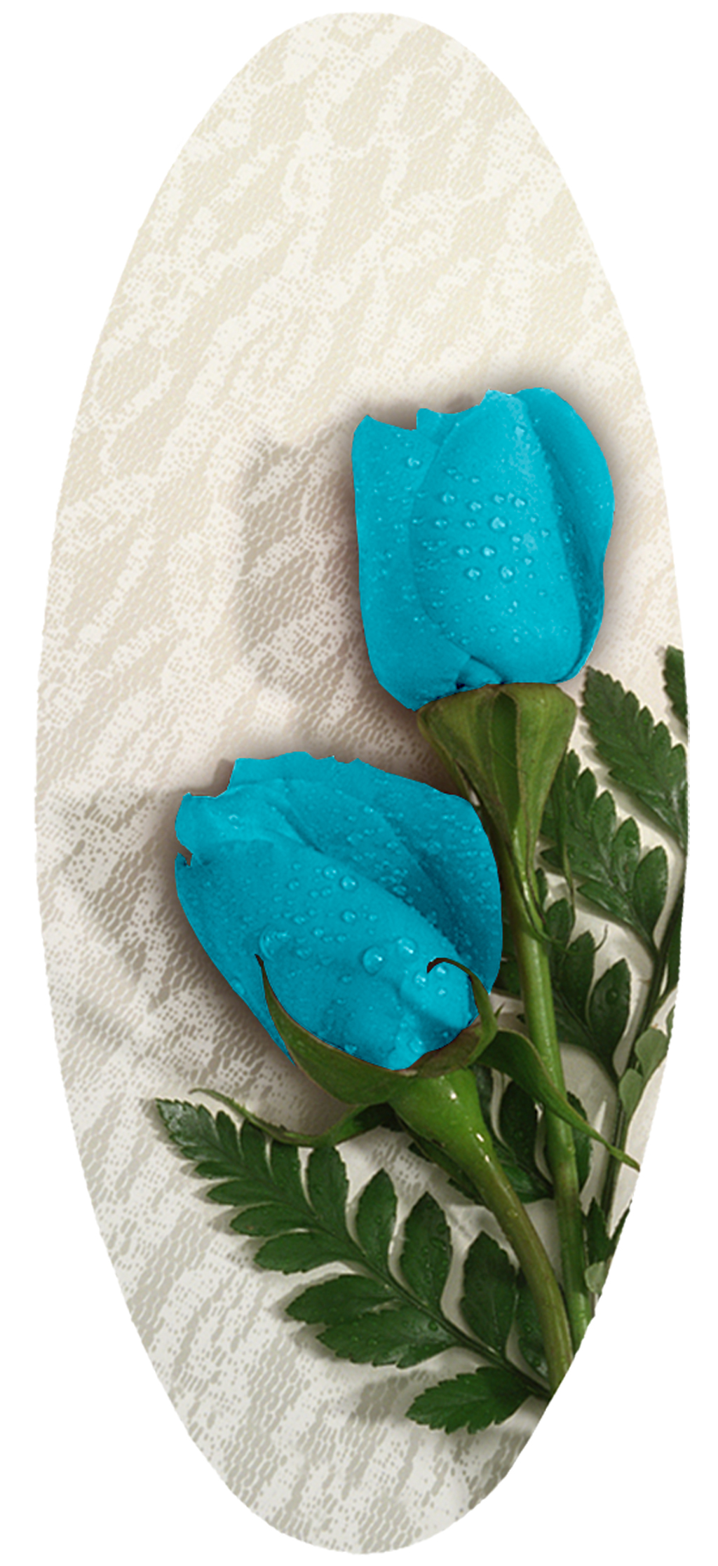 2 Calypso Roses PROOF